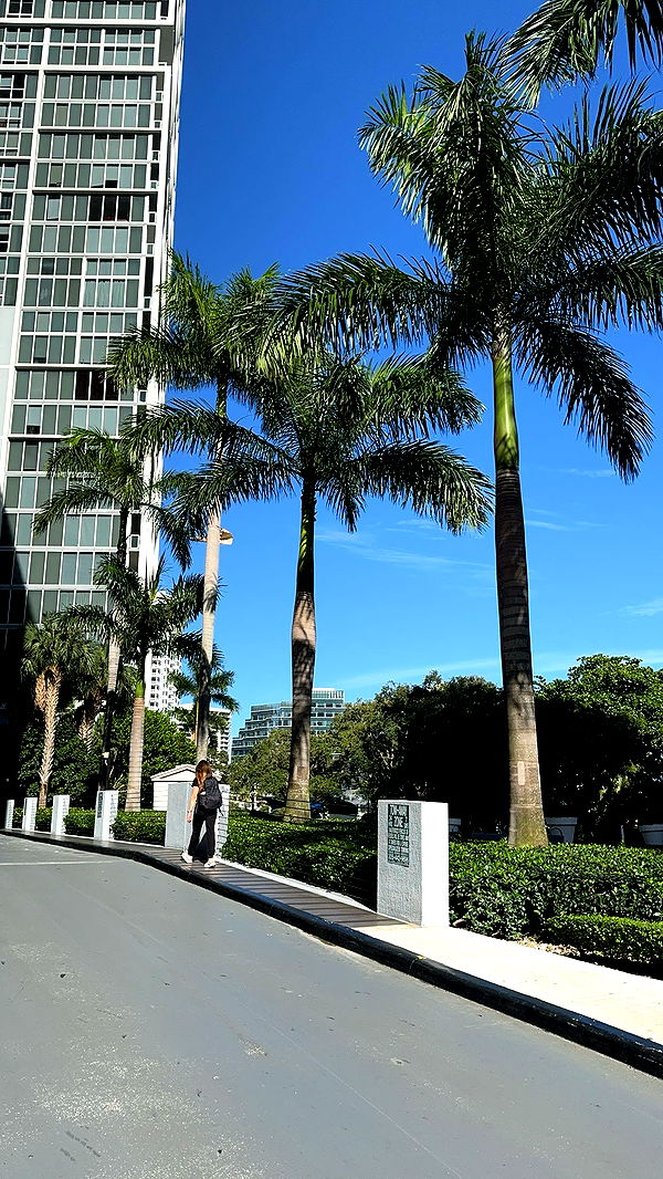 bellarenaldii image ~ Altpins