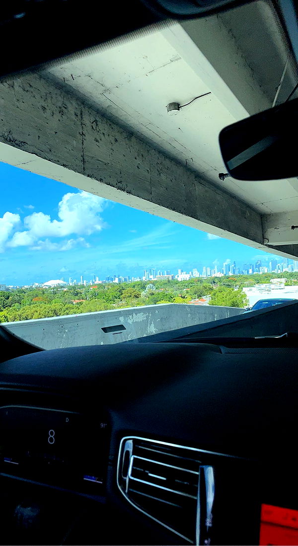 bellarenaldii image ~ Altpins