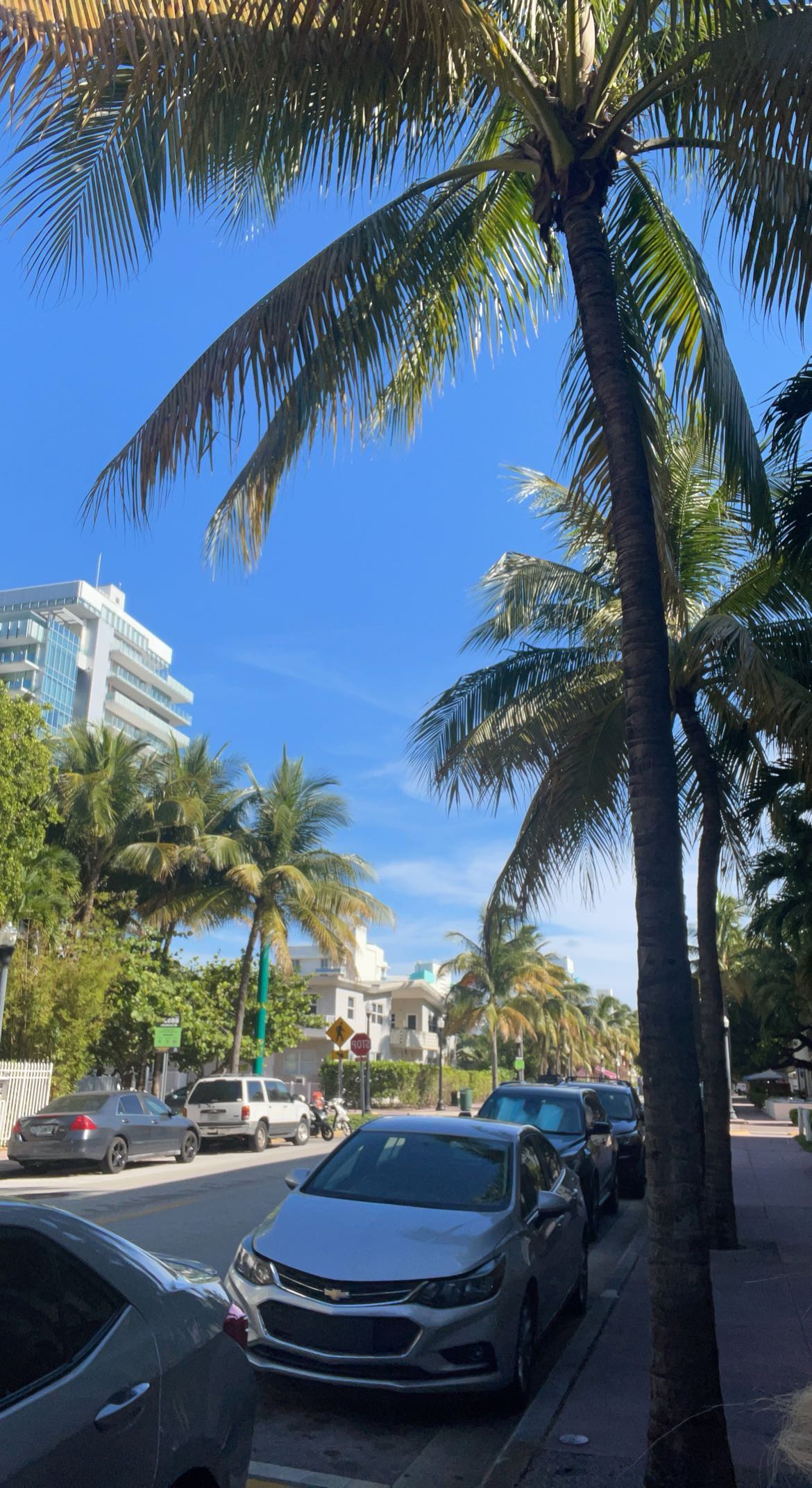 bellarenaldii snapchat image archive image