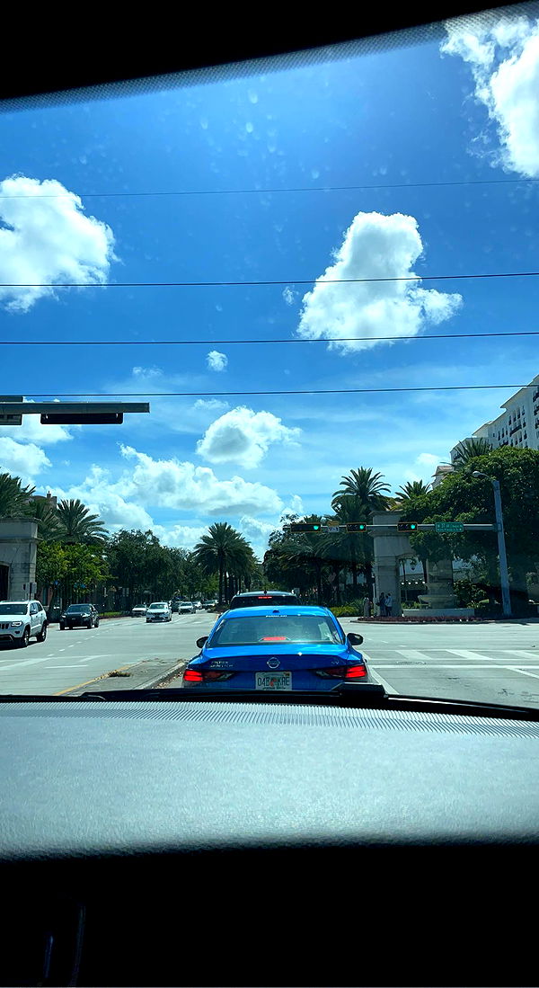 bellarenaldii image ~ Altpins