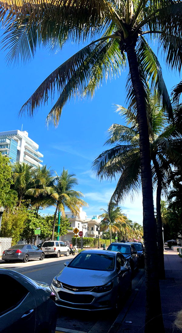 bellarenaldii image ~ Altpins