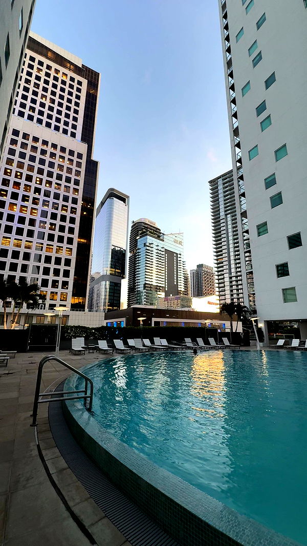 bellarenaldii image ~ Altpins