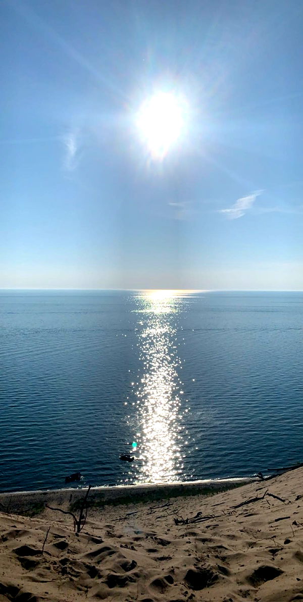 bellarenaldii image ~ Altpins