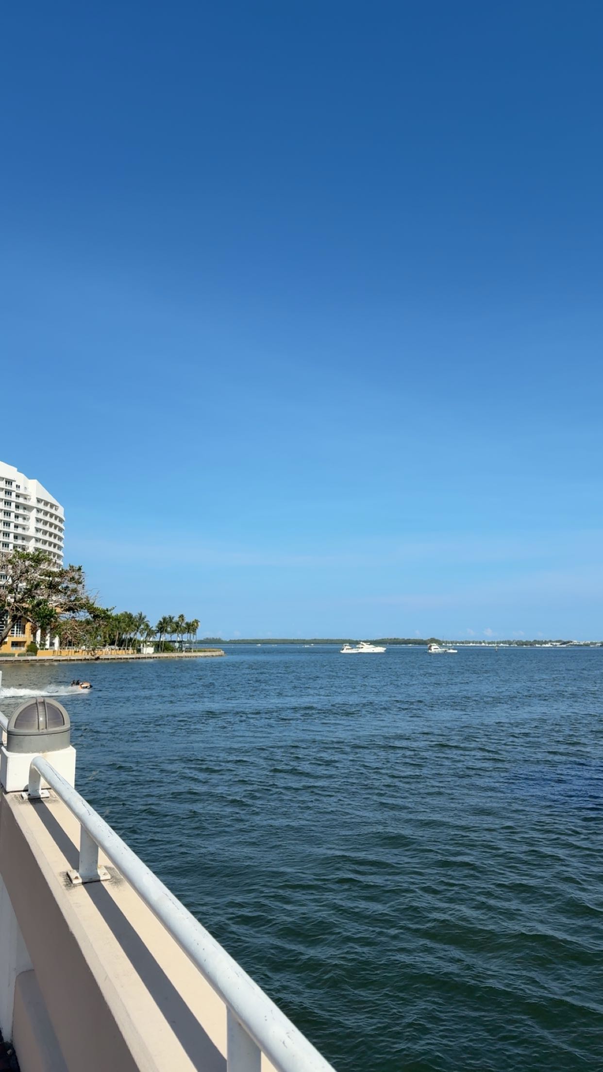 bellarenaldii snapchat image archive image