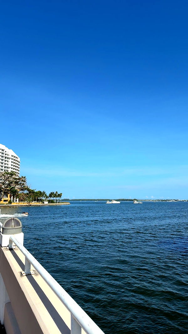 bellarenaldii image ~ Altpins