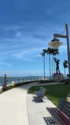 bellarenaldii Altpins Profile Picture