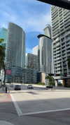 bellarenaldii Altpins Profile Picture