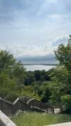 bellarenaldii Altpins Profile Picture