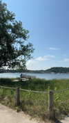 bellarenaldii Altpins Profile Picture