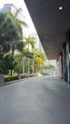 bellarenaldii Altpins Profile Picture