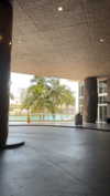 bellarenaldii Altpins Profile Picture