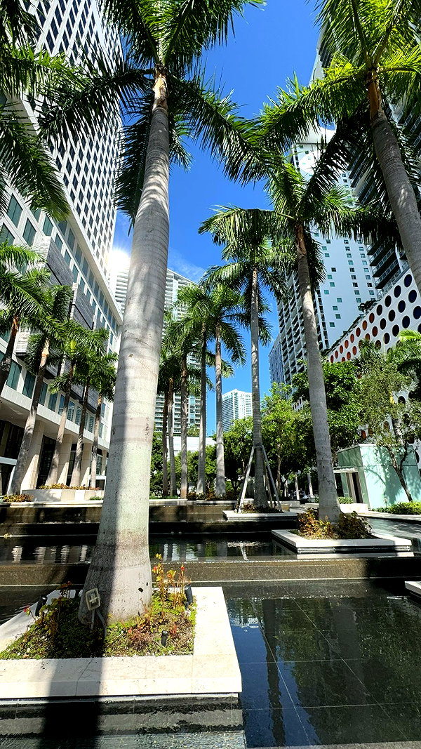 bellarenaldii snapchat image archive image