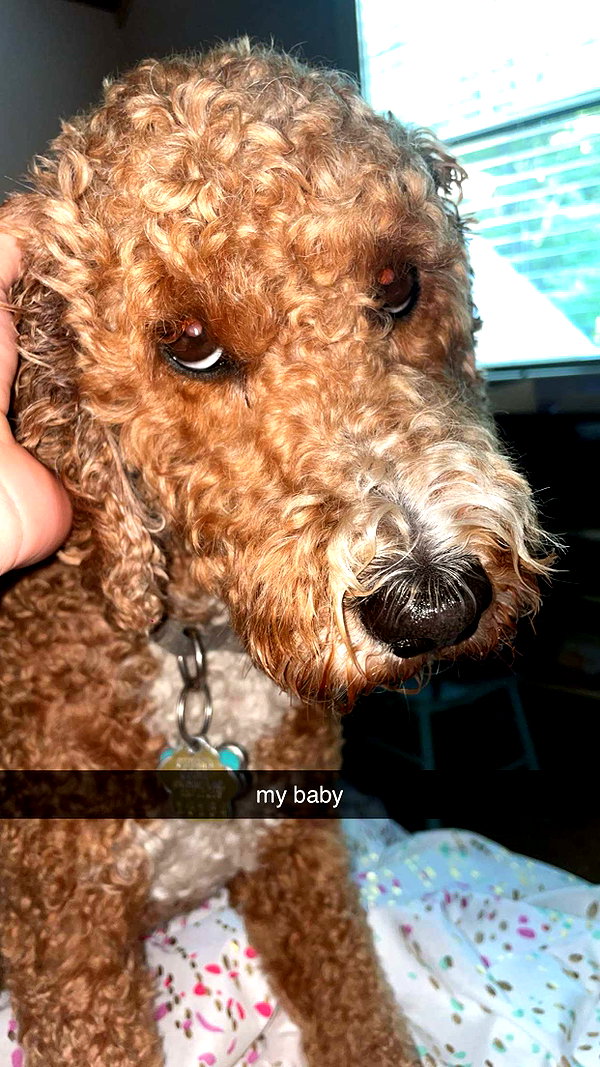 bellarenaldii snapchat image archive image