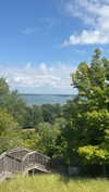bellarenaldii Altpins Profile Picture