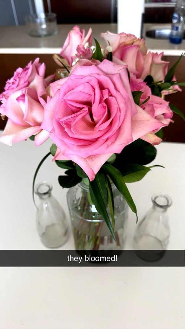 bellarenaldii snapchat image archive image