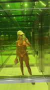 bellarenaldii Altpins Profile Picture