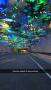 bellarenaldii Altpins Profile Picture