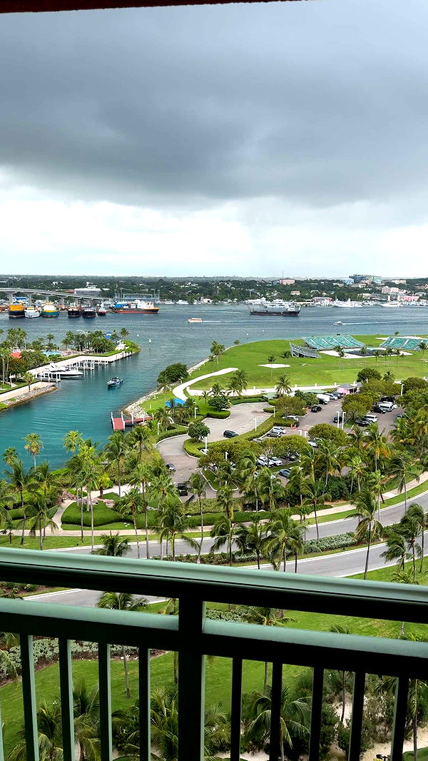 bellarenaldii image ~ Altpins