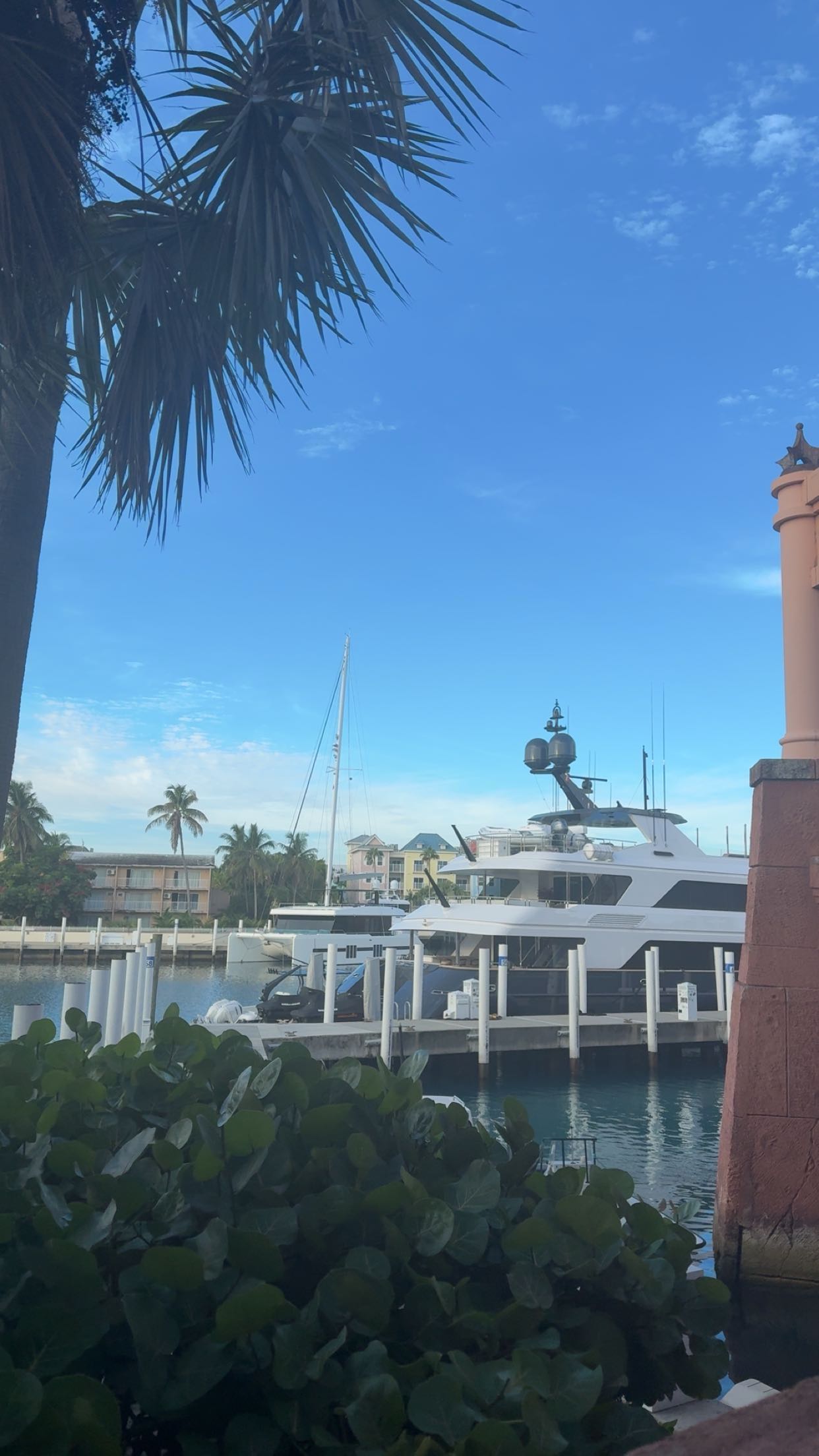 bellarenaldii snapchat image archive image