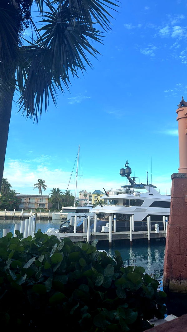 bellarenaldii image ~ Altpins