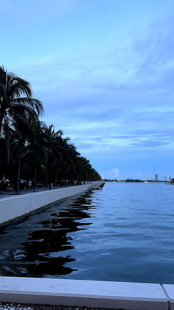 bellarenaldii image ~ Altpins