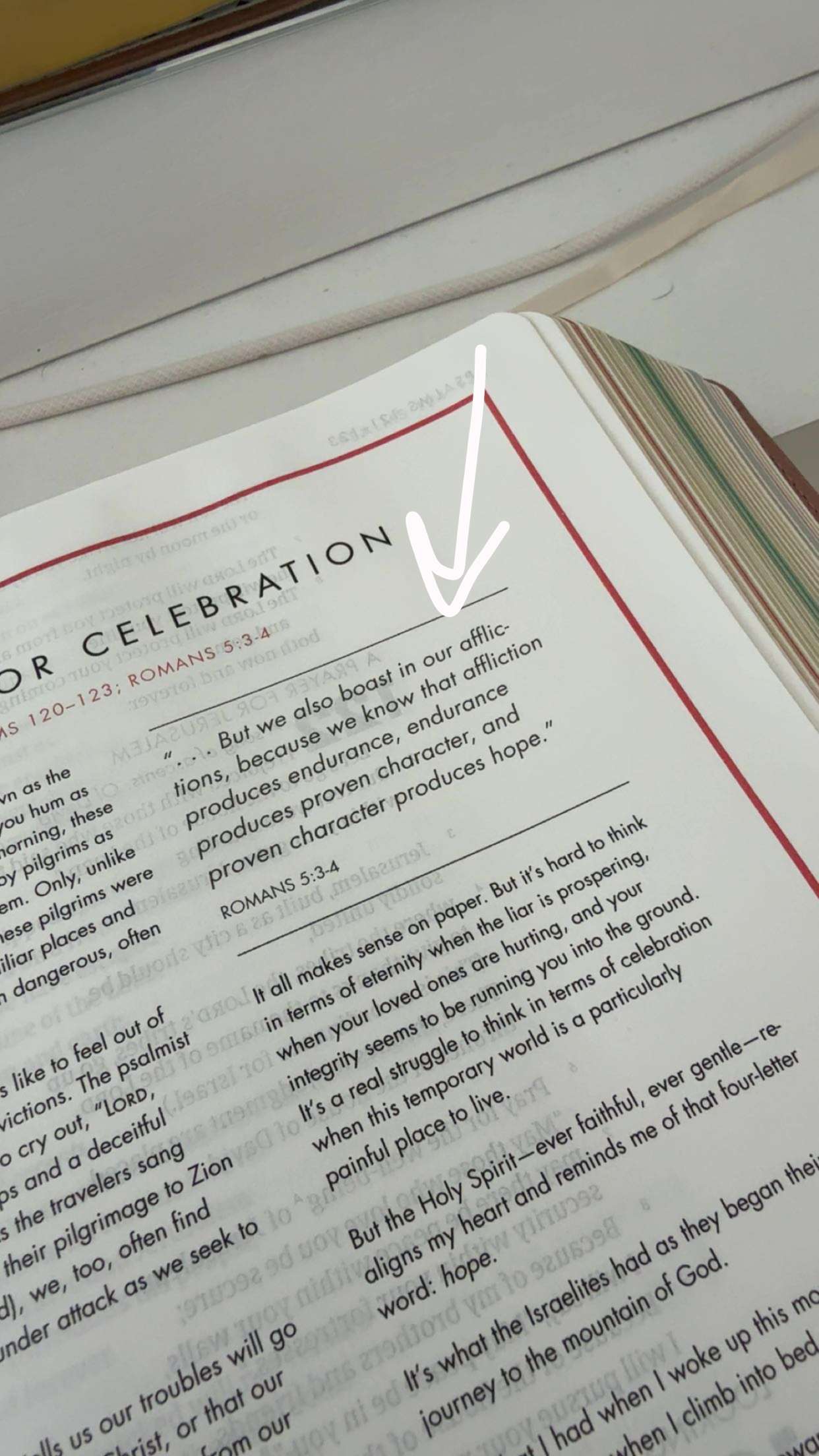 bellarenaldii snapchat image archive image