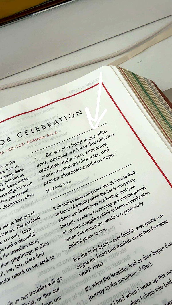 bellarenaldii image ~ Altpins