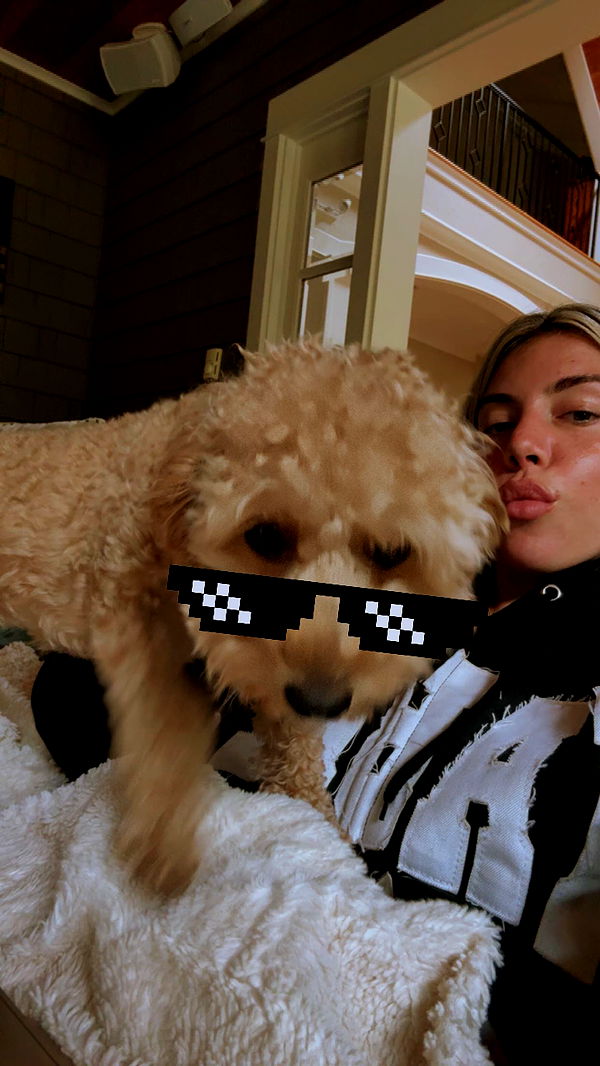 bellarenaldii image ~ Altpins