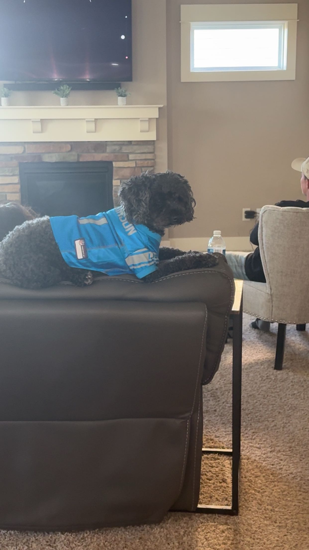 bellarenaldii snapchat image archive image