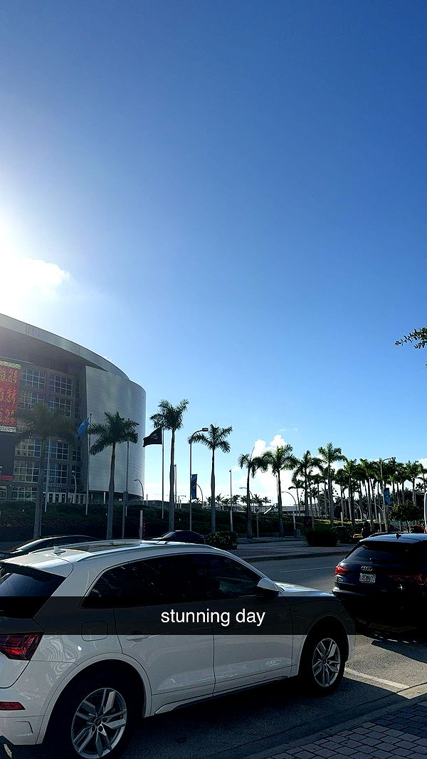 bellarenaldii image ~ Altpins