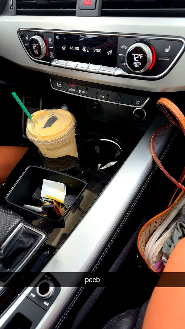 bellarenaldii image ~ Altpins