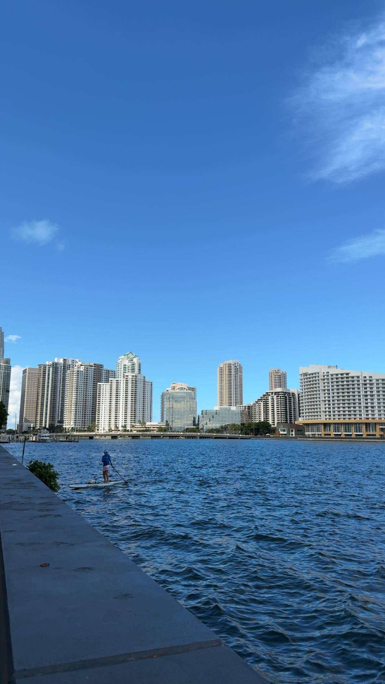 bellarenaldii snapchat image archive image