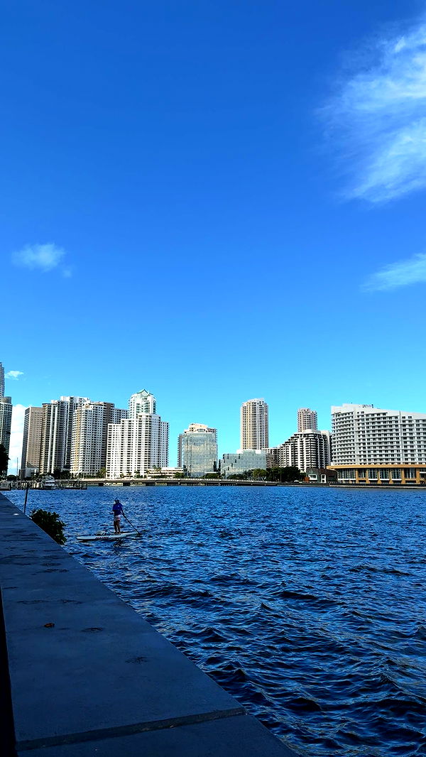 bellarenaldii image ~ Altpins