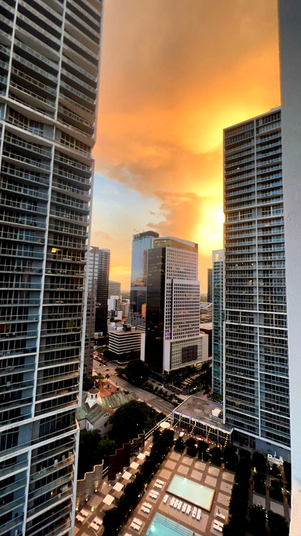 bellarenaldii image ~ Altpins