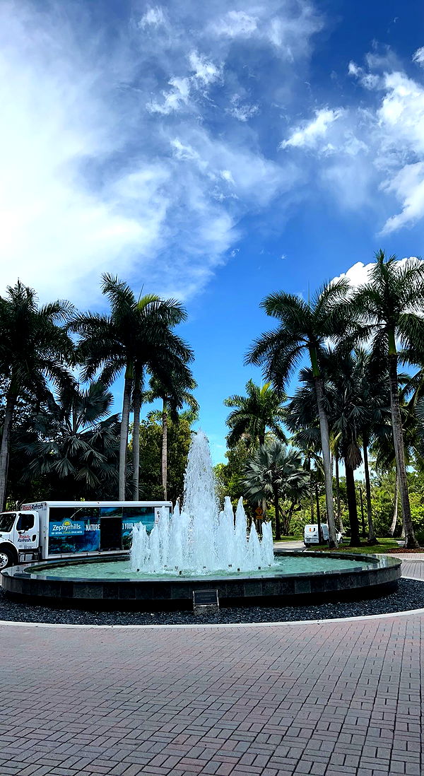 bellarenaldii image ~ Altpins