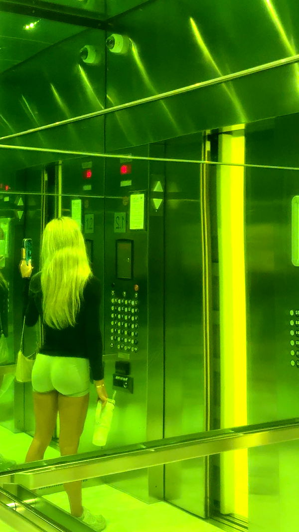 bellarenaldii image ~ Altpins