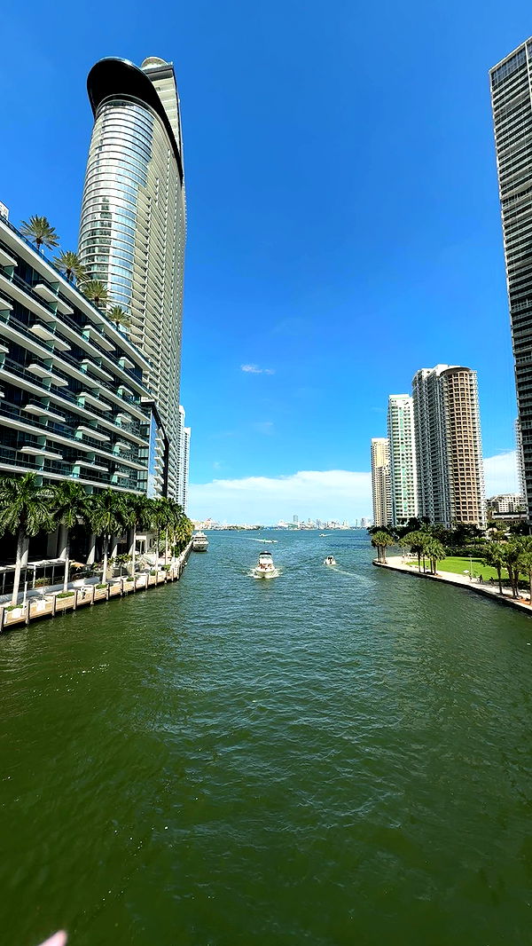 bellarenaldii image ~ Altpins