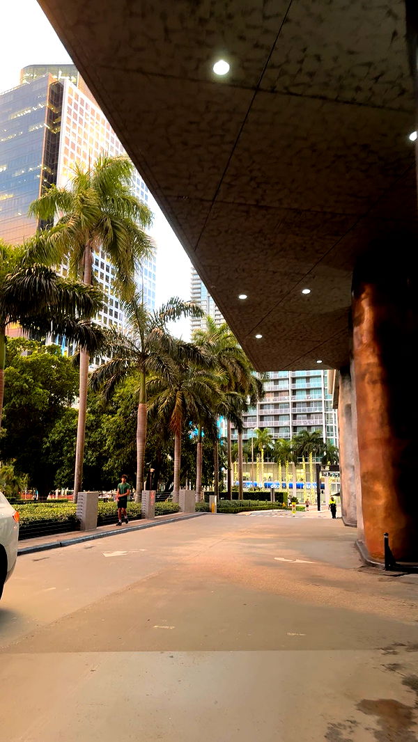 bellarenaldii image ~ Altpins