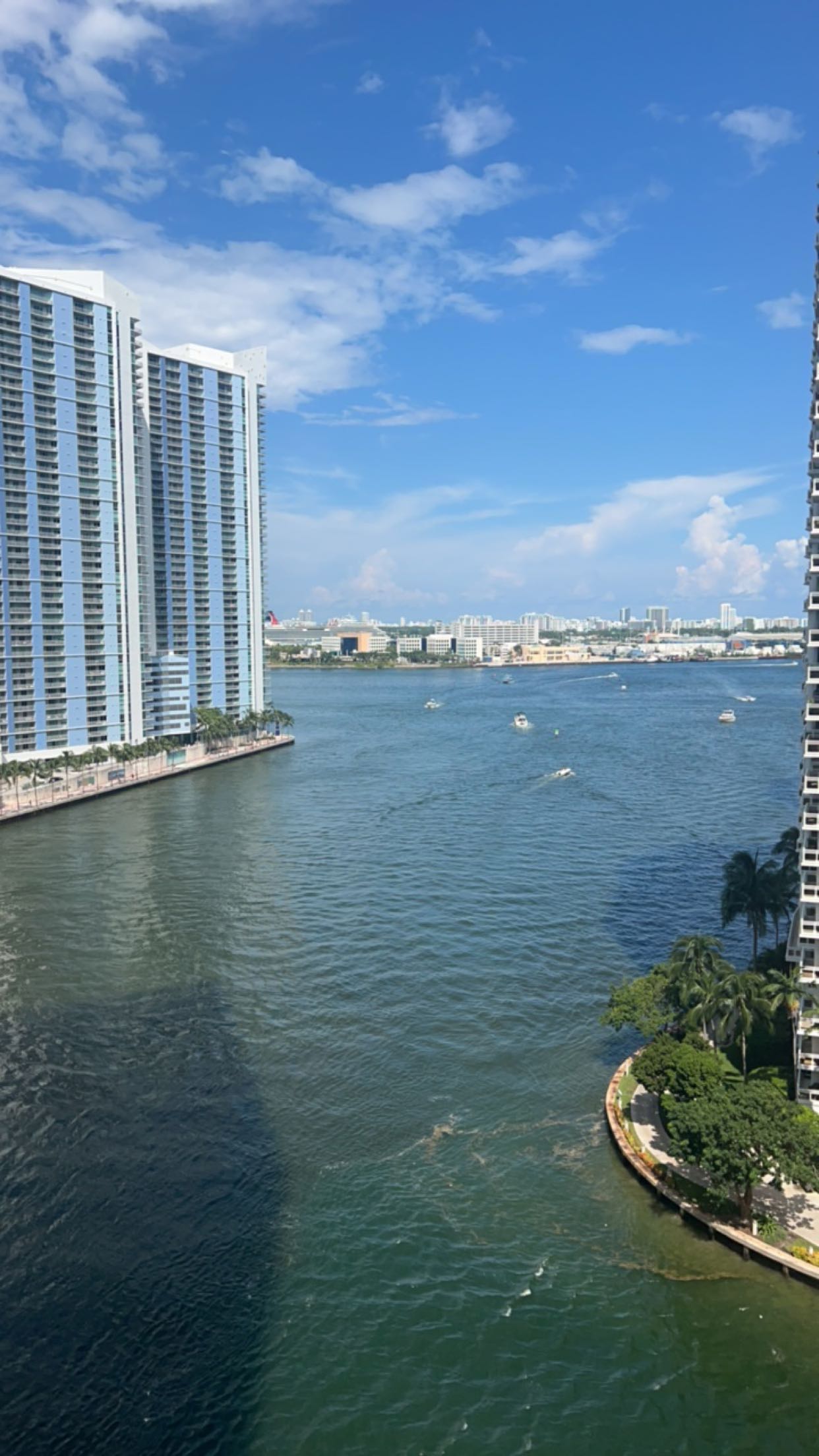 bellarenaldii snapchat image archive image