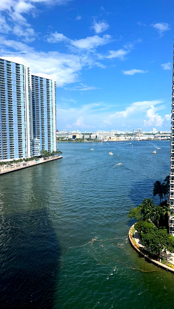 bellarenaldii image ~ Altpins