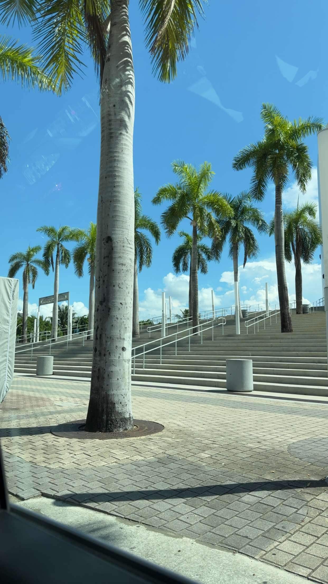 bellarenaldii snapchat image archive image