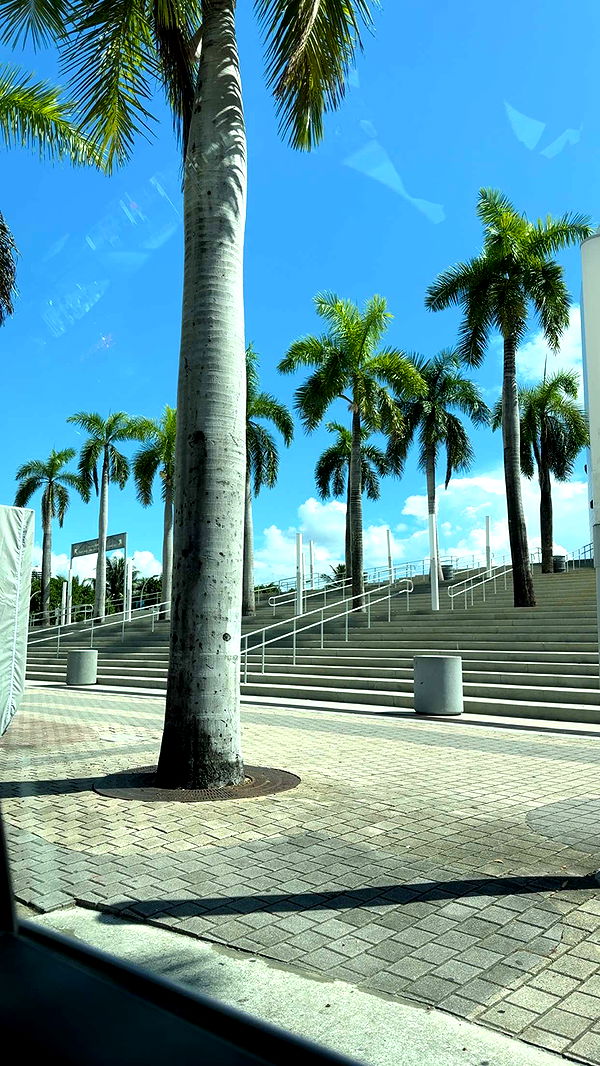 bellarenaldii image ~ Altpins