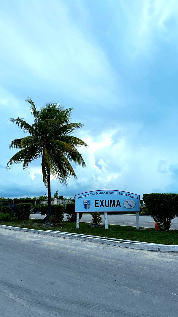 bellarenaldii image ~ Altpins