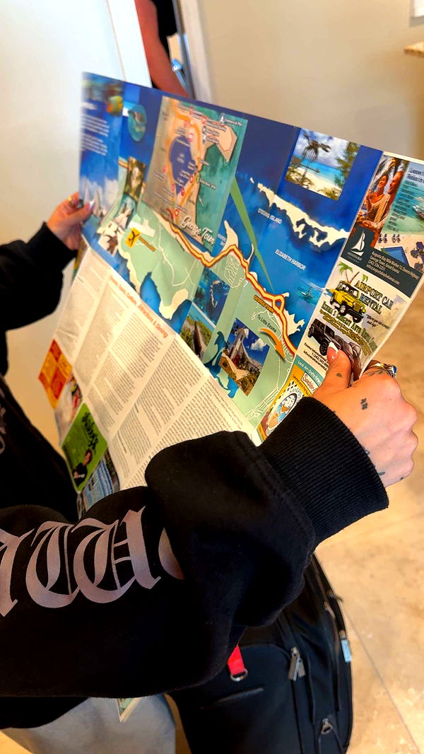 bellarenaldii image ~ Altpins