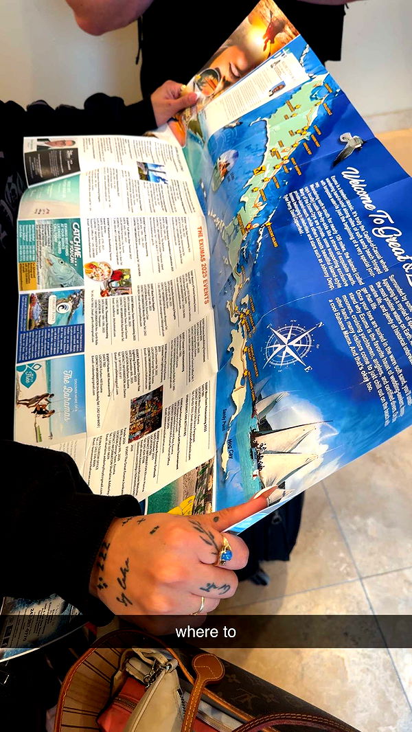 bellarenaldii image ~ Altpins