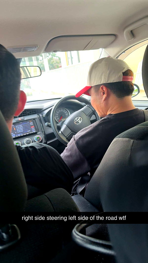 bellarenaldii image ~ Altpins