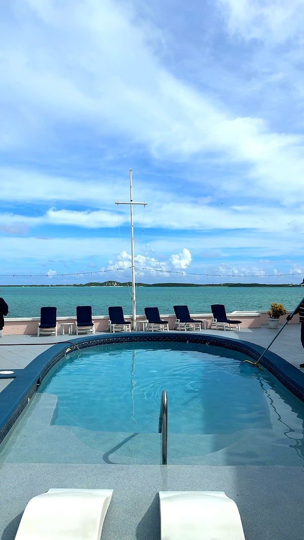 bellarenaldii image ~ Altpins