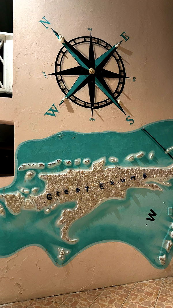 bellarenaldii image ~ Altpins