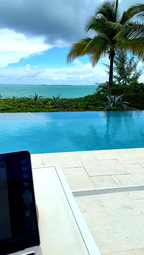 bellarenaldii image ~ Altpins