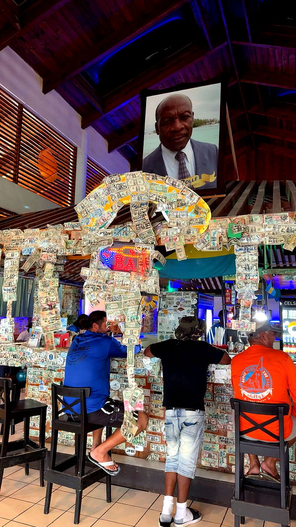 bellarenaldii image ~ Altpins